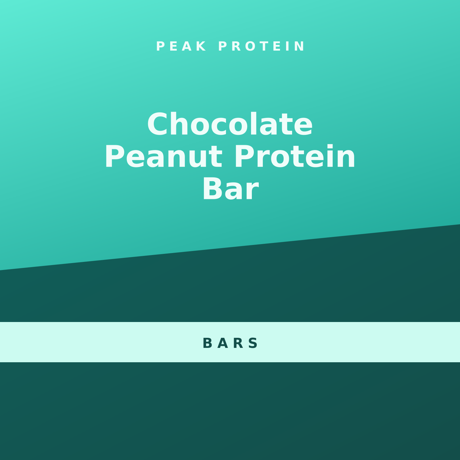Chocolate Peanut Protein Bar